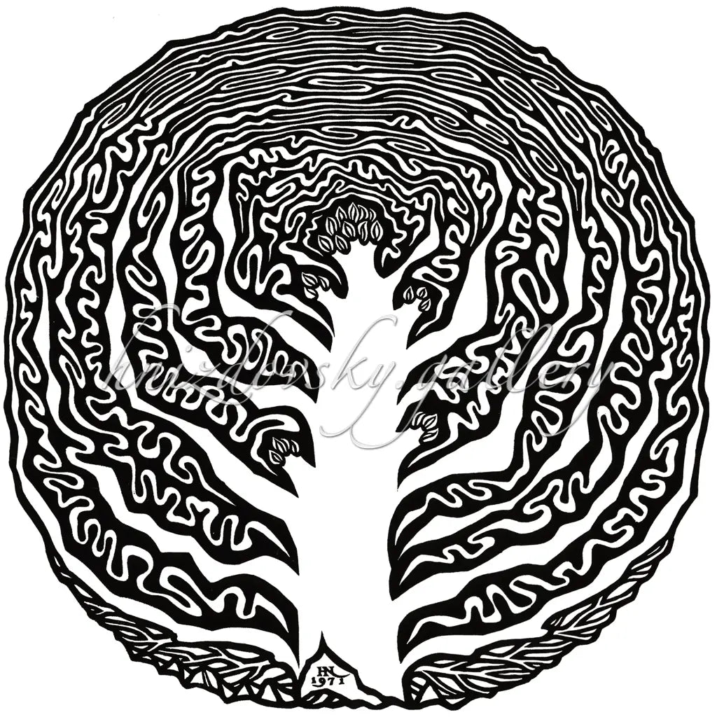 Jacques Hnizdovsky, #117 Red Cabbage, woodcut, 1971, 18