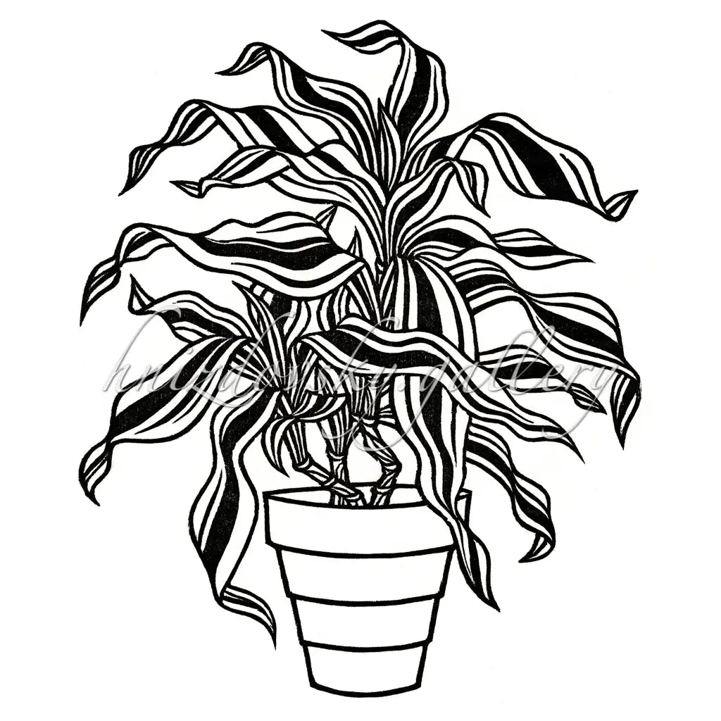 art dracaena Jacques Hnizdovsky, #120 Dracaena, woodcut, 1972, 8" x 6.5" (image size) – Hnizdovsky Gallery