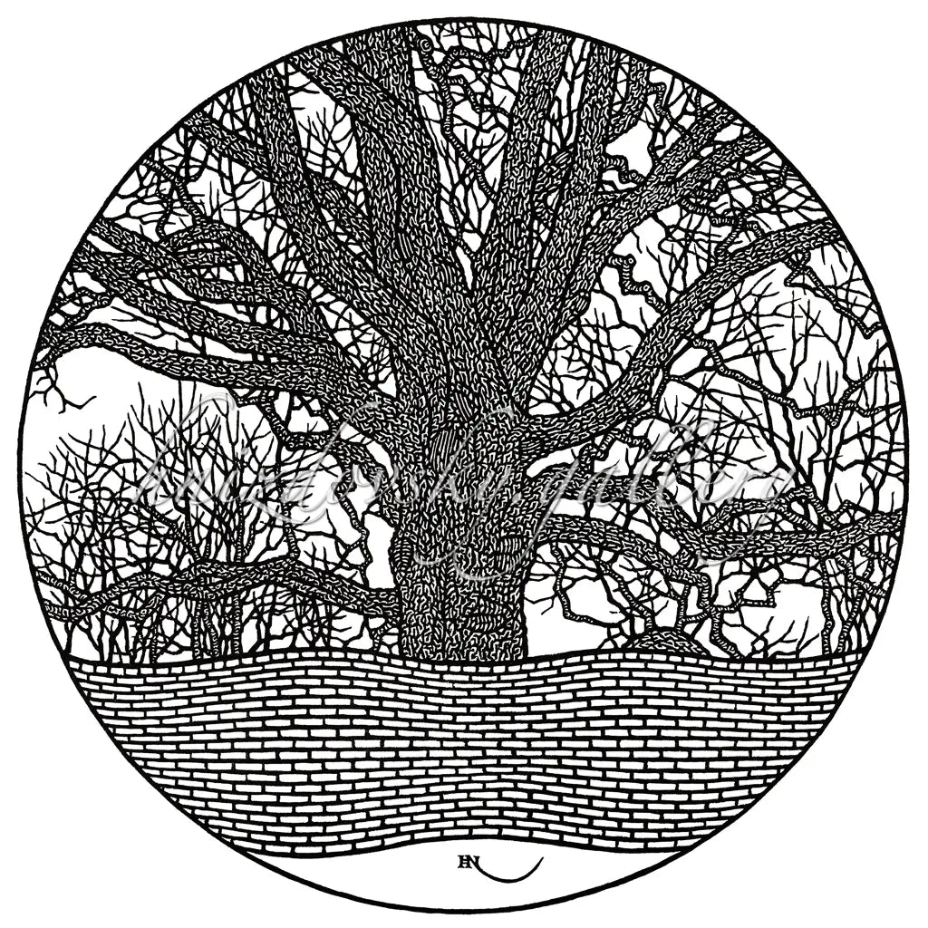 Jacques Hnizdovsky, #305 McGuffey Ash, woodcut, 1982, 13