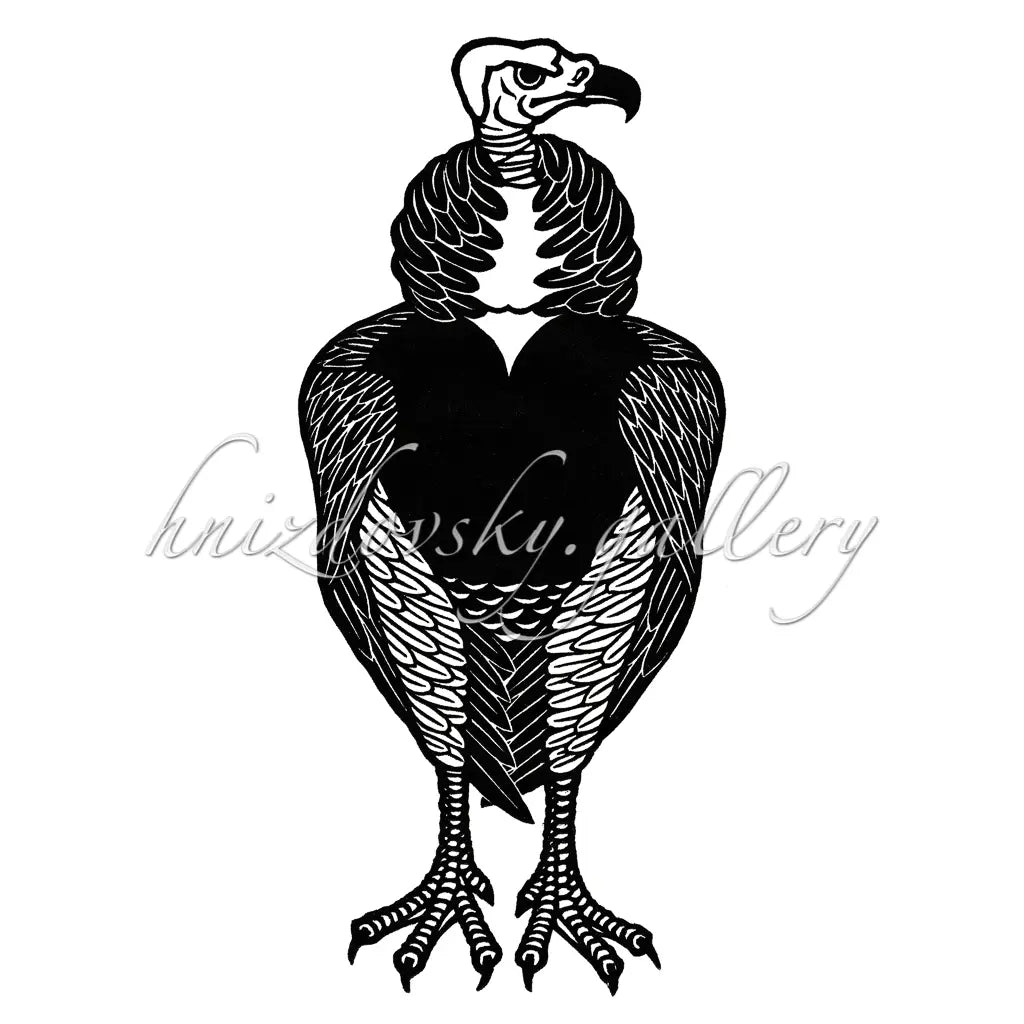 Jacques Hnizdovsky woodcut White Headed Vulture