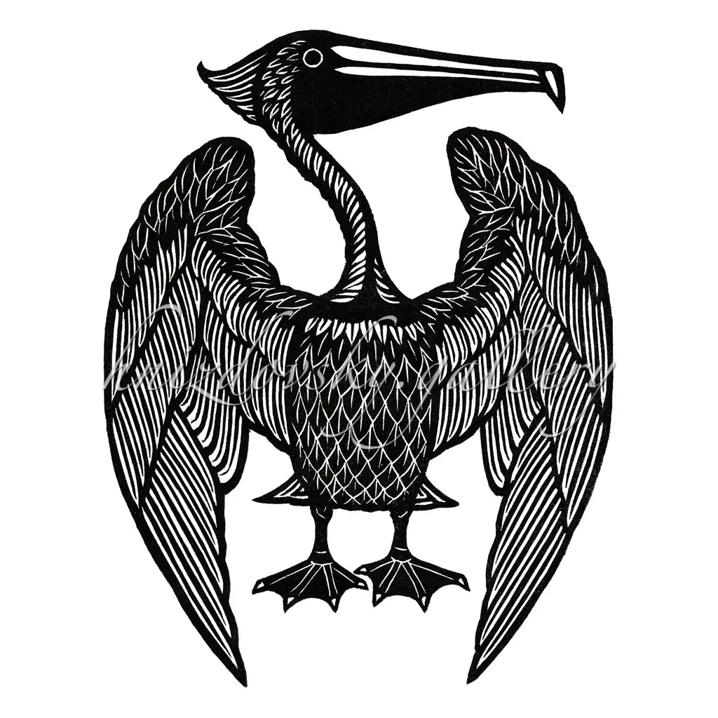 Jacques Hnizdovsky woodcut Brown Pelican