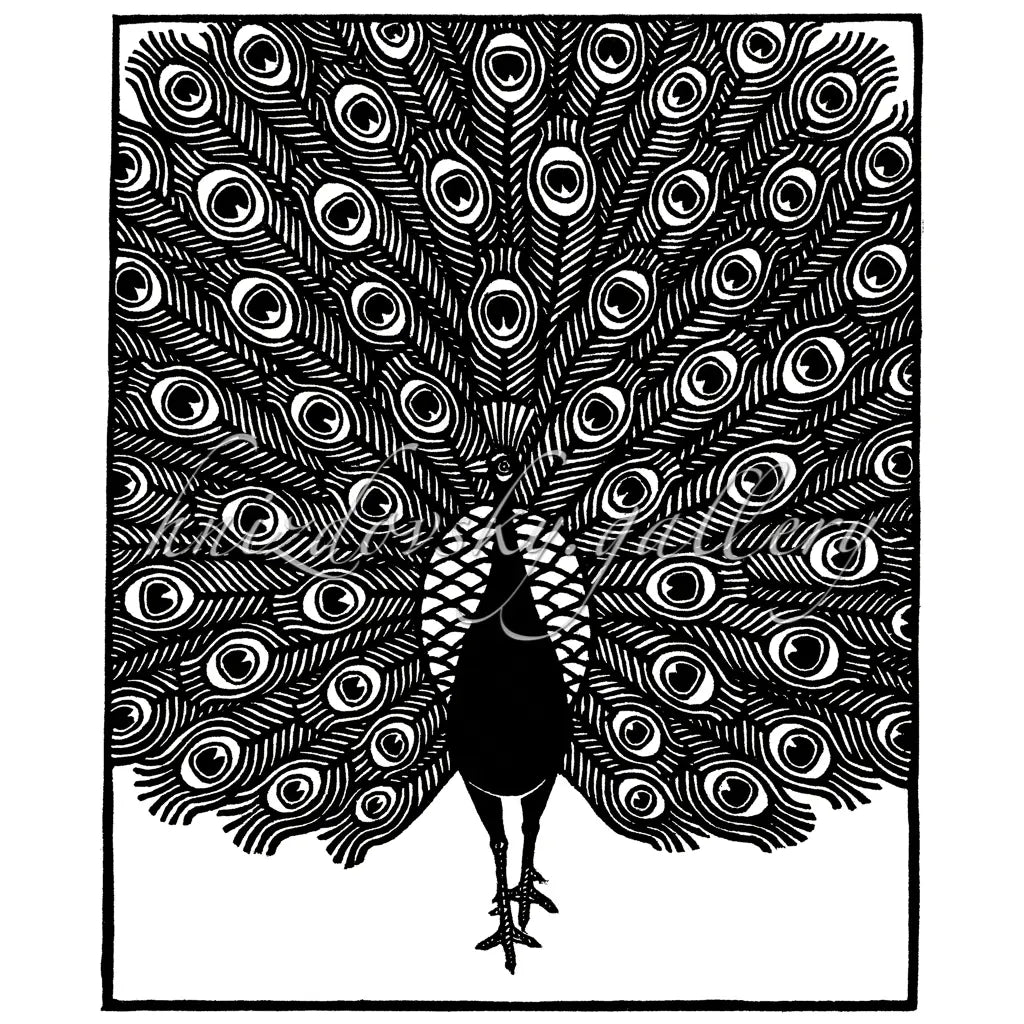 Jacques Hnizdovsky woodcut Peacock of Java