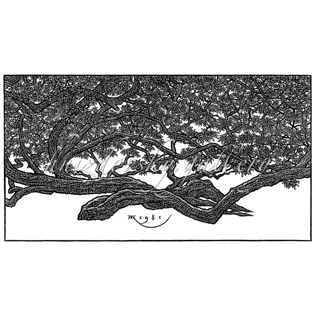 Jacques Hnizdovsky woodcut Walking Tree