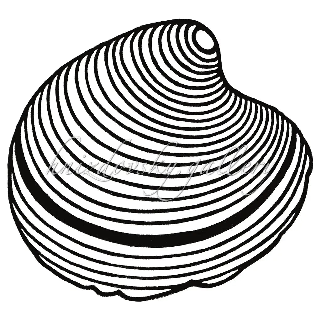 Jacques Hnizdovsky woodcut Venus Shell