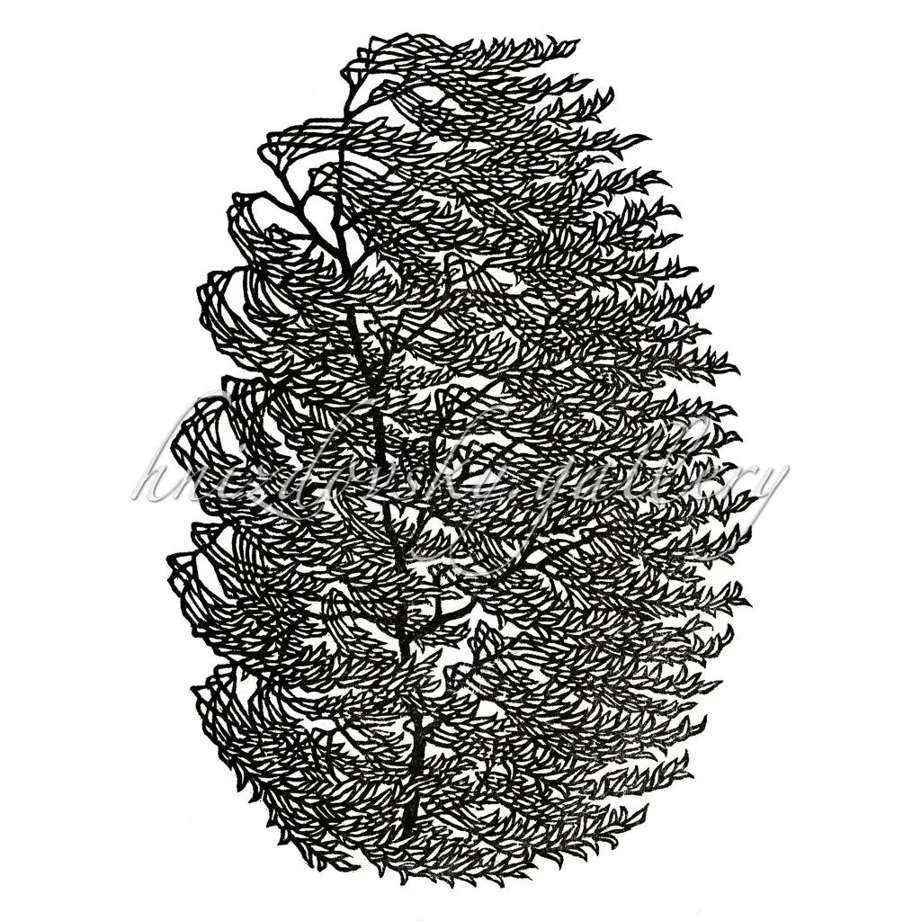 Jacques Hnizdovsky woodcut Willow