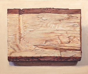 Log, 1981, original painting by Jacques Hnizdovsky, 20" x 24"