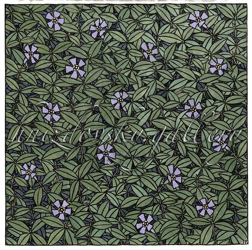 #336a Periwinkle, woodcut, 1984, 13" x 13" (image size) (Hand Colored)