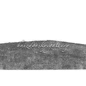 Jacques Hnizdovsky, #361 Grass, etching, 1971, 9.75" x 17.625" (image size)
