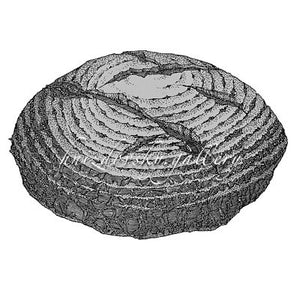 Jacques Hnizdovsky, #374 Bread, etching, 1981, 12.63" x 12.69" (image size)