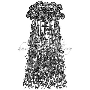 Jacques Hnizdovsky, #083 Zebrina Pendula, woodcut, 1968, 18" x 9" (image size)