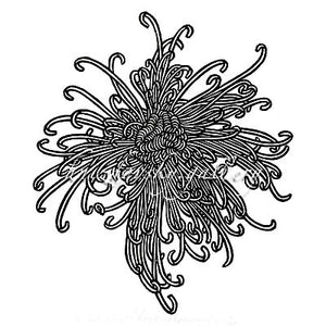 Jacques Hnizdovsky, #124 Chrysanthemum, woodcut, 1972, 8.25" x 7" (image size)