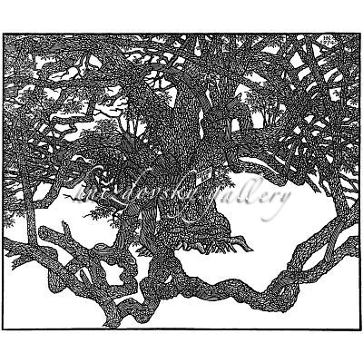 Jacques Hnizdovsky, #181 Suicide Oak, New Orleans, woodcut, 1974, 18" x 22" (image size)