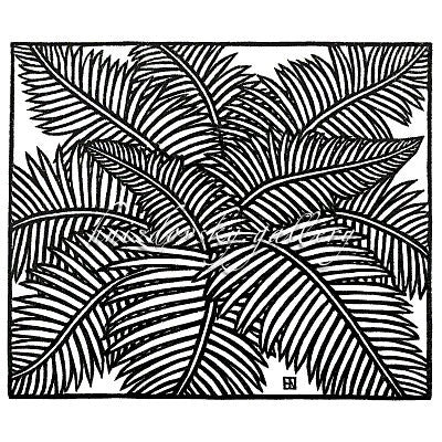 Jacques Hnizdovsky, #264 Fern, woodcut, 1978, 4.375" x 5.25" (image size)