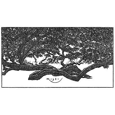 Jacques Hnizdovsky, #298 Walking Tree, New Orleans, woodcut, 1981, 7.5" x 14" (image size)