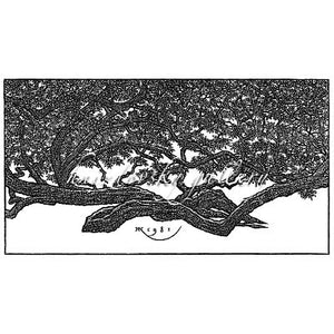 Jacques Hnizdovsky, #298 Walking Tree, New Orleans, woodcut, 1981, 7.5" x 14" (image size)