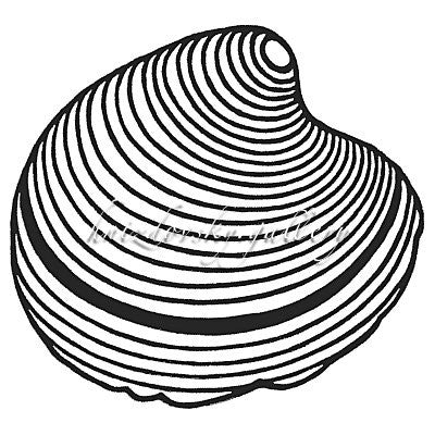 Jacques Hnizdovsky, #306 Venus Shell, woodcut, 1983, 3.75" x 4.125" (image size)