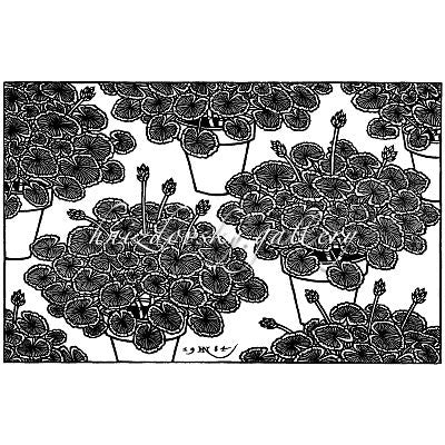 Jacques Hnizdovsky, #334 Geranium, woodcut, 1984, 9" x 14.125" (image size)